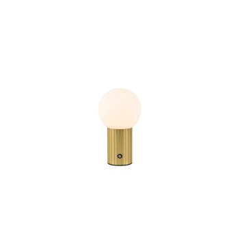 Trio Lampor Tauris Bordslampa LED Mässing, 1-ljuskällor