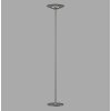 Paul Neuhaus Lampor Moon Golvlampa LED Silver, 2-ljuskällor