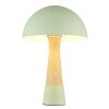 NOWA Paulin Bordslampa Grön, Sten-look, 1-ljuskällor