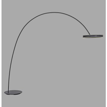Paul Neuhaus Lampor Loop-Bow Golvlampa, Båglampor LED Svart, 2-ljuskällor