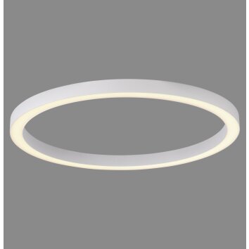 Paul Neuhaus Lampor Round Taklampa LED Vit, 1-ljuskällor, Fjärrkontroll