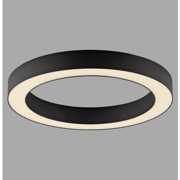 Paul Neuhaus Lampor Round Taklampa LED Grått, 1-ljuskällor, Fjärrkontroll