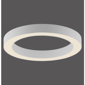 Paul Neuhaus Lampor Round Taklampa LED Vit, 1-ljuskällor, Fjärrkontroll