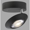 Paul Neuhaus Lampor Oculis Taklampa LED Svart, 1-ljuskällor