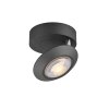 Paul Neuhaus Lampor Oculis Taklampa LED Svart, 1-ljuskällor