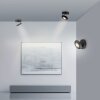 Paul Neuhaus Lampor Oculis Taklampa LED Svart, 1-ljuskällor