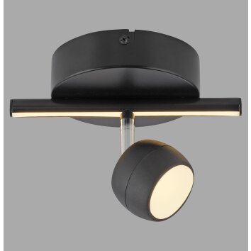 Leuchten Direkt JARIK Taklampa LED Svart, 2-ljuskällor