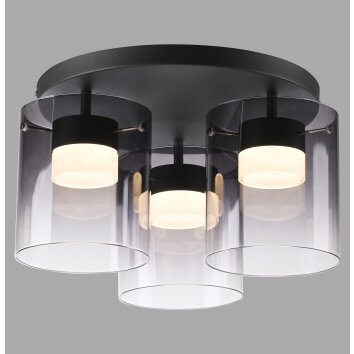 Leuchten Direkt ELIO Taklampa LED Svart, 3-ljuskällor