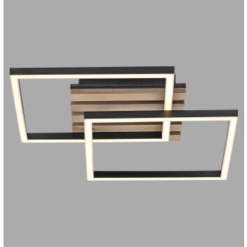 Leuchten Direkt AKUSTIKA Taklampa LED Svart, 1-ljuskällor