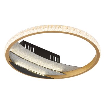 Globo Constance Taklampa LED Krom, Svart, 1-ljuskällor