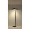 Globo Barker Golvlampa LED Antracit, 1-ljuskällor