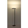 Globo Barker Golvlampa LED Antracit, 1-ljuskällor