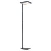 Globo Barker Golvlampa LED Antracit, 1-ljuskällor