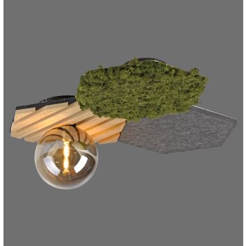 Leuchten Direkt HEX Taklampa LED Grått, Grön, 1-ljuskällor