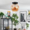 Ripoll Taklampa, kullampa Amber, 1-ljuskällor