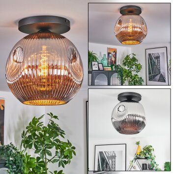 Ripoll Taklampa, kullampa Krom, Rökfärger, 1-ljuskällor