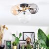 Chehalis Taklampa, kullampa Guld, Svart, 3-ljuskällor