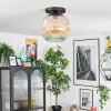 Ripoll Taklampa, kullampa Amber, Klart, 1-ljuskällor