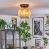 Ripoll Taklampa, kullampa Amber, Klart, 1-ljuskällor