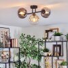 Gastor Taklampa, kullampa Amber, Klart, Rökfärger, 3-ljuskällor