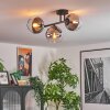 Koyoto Taklampa, kullampa Klart, Rökfärger, 3-ljuskällor