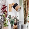 Fallhagen Vägglampa, Väggspotlight Krom, Trä ljus, 1-ljuskällor
