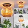 Ripoll Taklampa, kullampa Amber, 1-ljuskällor