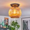 Ripoll Taklampa, kullampa Amber, 1-ljuskällor