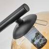 Ripoll Taklampa, kullampa Amber, Klart, Rökfärger, 3-ljuskällor