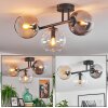 Koyoto Taklampa, kullampa Amber, Klart, Rökfärger, 3-ljuskällor