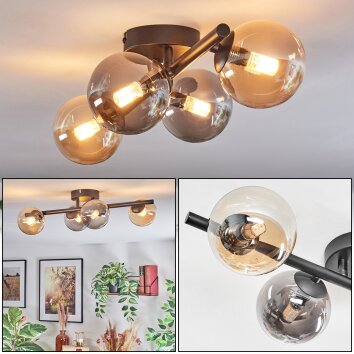 Chehalis Taklampa, kullampa Amber, Rökfärger, 4-ljuskällor