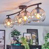 Koyoto Taklampa, kullampa Amber, Klart, 4-ljuskällor