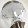 Cordova vägglampa utomhus, Vägglampa LED Färg i rostfritt stål, 1-ljuskällor