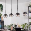 Koyoto Pendellampa, kullampa, Pendelbelysning Klart, Rökfärger, 4-ljuskällor