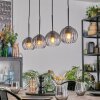 Koyoto Pendellampa, kullampa, Pendelbelysning Klart, Rökfärger, 4-ljuskällor