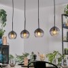 Koyoto Pendellampa, kullampa, Pendelbelysning Klart, Rökfärger, 4-ljuskällor