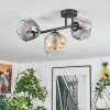 Ripoll Taklampa, kullampa Amber, Klart, Rökfärger, 3-ljuskällor