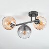 Koyoto Taklampa, kullampa Amber, Klart, Rökfärger, 3-ljuskällor