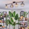 Koyoto Taklampa, kullampa Amber, Klart, Rökfärger, 4-ljuskällor