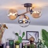 Chehalis Taklampa, kullampa Amber, Klart, Rökfärger, 3-ljuskällor
