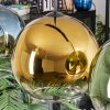 Koyoto Pendellampa, kullampa, Pendelbelysning Blå, Guld, Grön, Klart, 4-ljuskällor