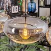 Mertola Pendellampa, Pendelbelysning Amber, Klart, Rökfärger, 4-ljuskällor