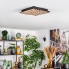 Vorlix Taklampa LED träoptik, Svart, 1-ljuskällor