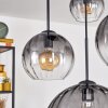 Koyoto Pendellampa, kullampa, Pendelbelysning 30 cm Klart, Rökfärger, 4-ljuskällor