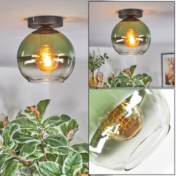 Koyoto Taklampa, kullampa Grön, Klart, 1-ljuskällor