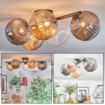 Chehalis Taklampa, kullampa Amber, Klart, Rökfärger, 5-ljuskällor