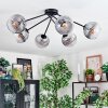 Koyoto Taklampa, kullampa 77.5 cm Klart, Rökfärger, 6-ljuskällor