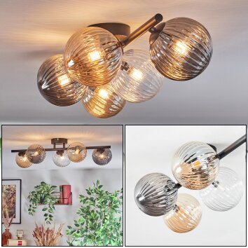 Chehalis Taklampa, kullampa Amber, Klart, Rökfärger, 5-ljuskällor
