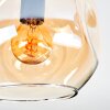 Ripoll Taklampa, kullampa Amber, Klart, Rökfärger, 4-ljuskällor
