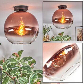 Koyoto Taklampa, kullampa 30 cm Klart, Kopparfärg, 1-ljuskällor